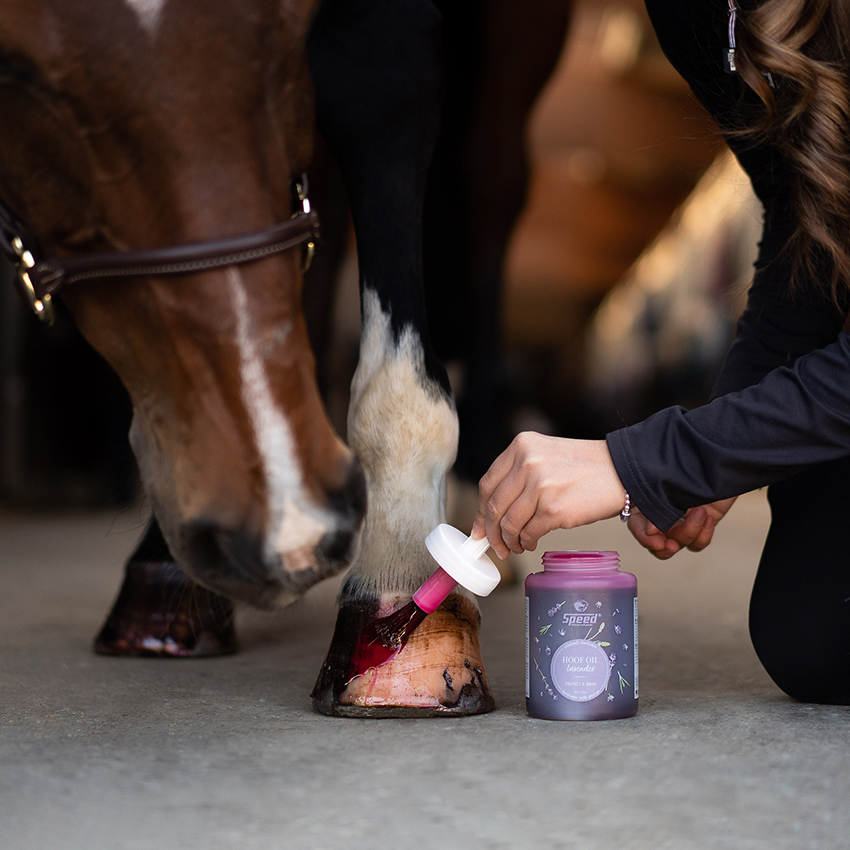 Speed hoof oil lavender sfeer 3
