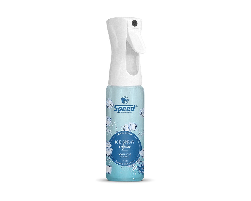 Speed ice-spray refresh 500ml