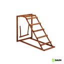 Chicken activity center