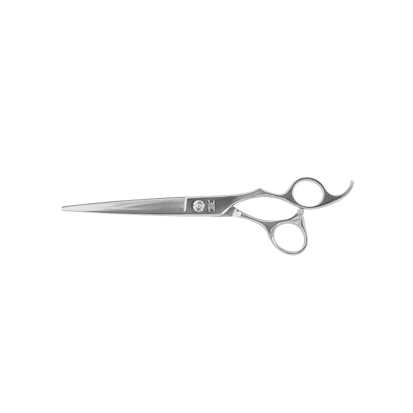 Aesculap scissors straight