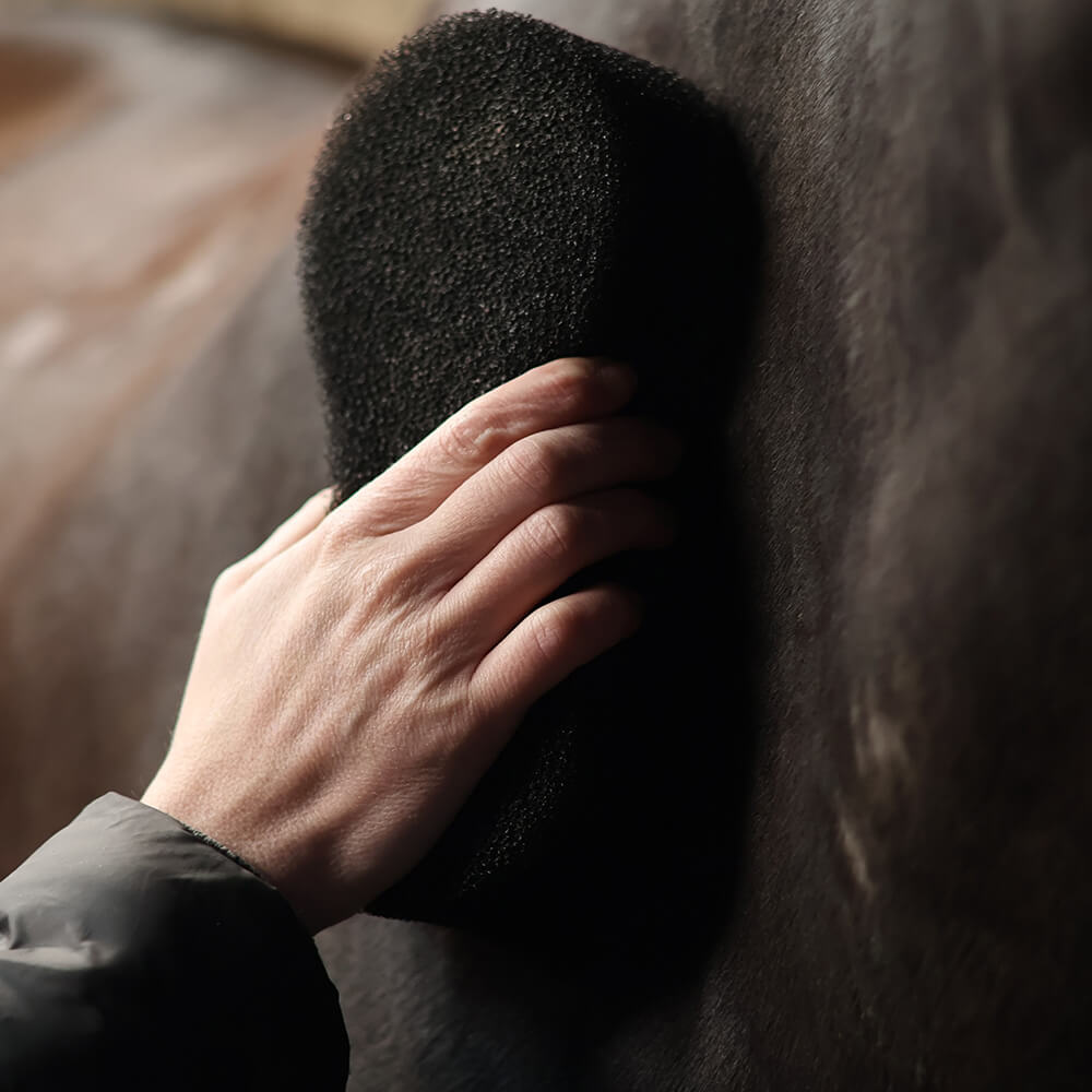 Éponge SHINE SCRUBBER